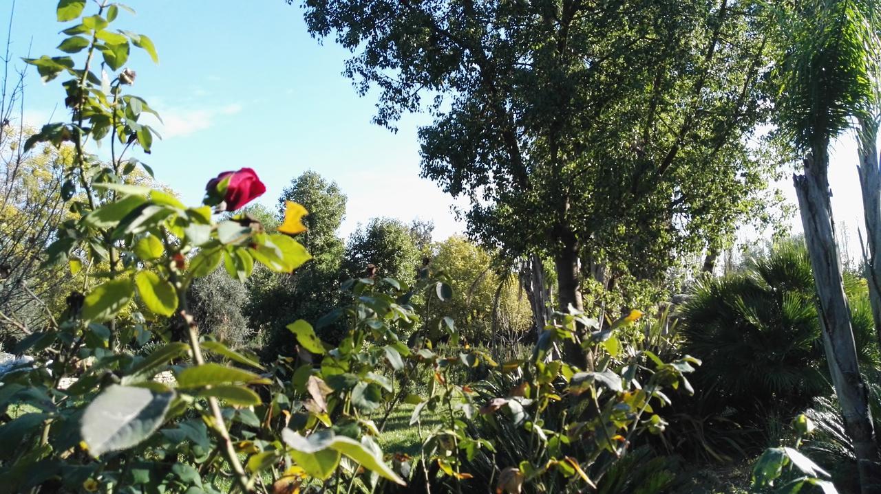 Tenuta Le Pantanelle Villa Sezze Екстериор снимка